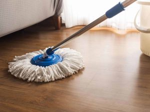 cây lau sàn gỗ loại nào tốt