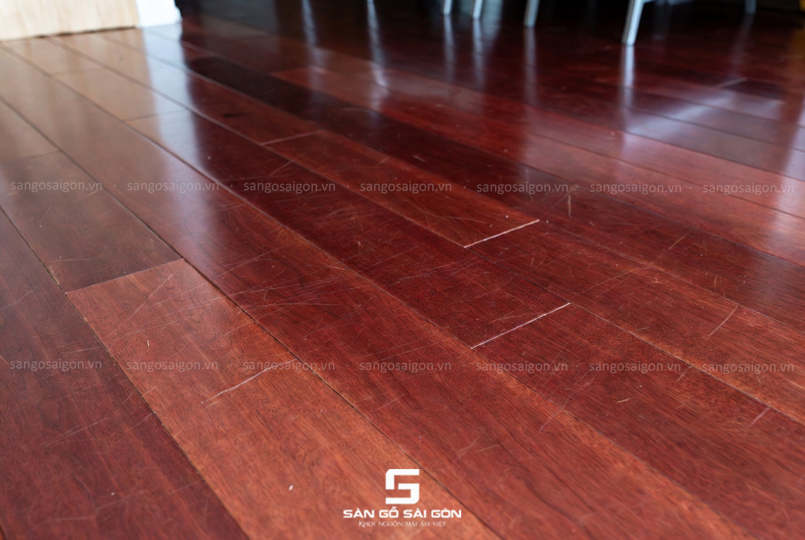 Móng vuốt thú cưng gây vết xước nông trên sàn gỗ Gõ Đỏ